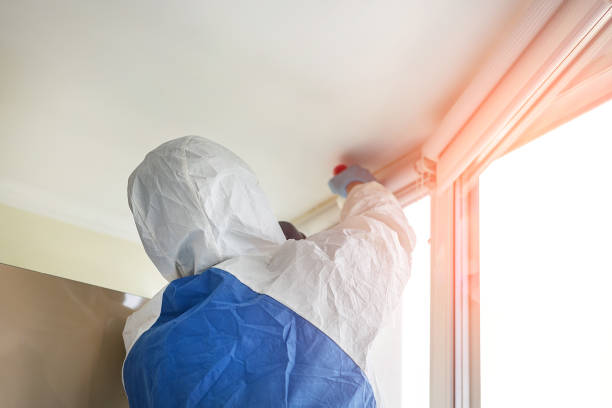 Mold Odor Removal Services in Youngstown, OH